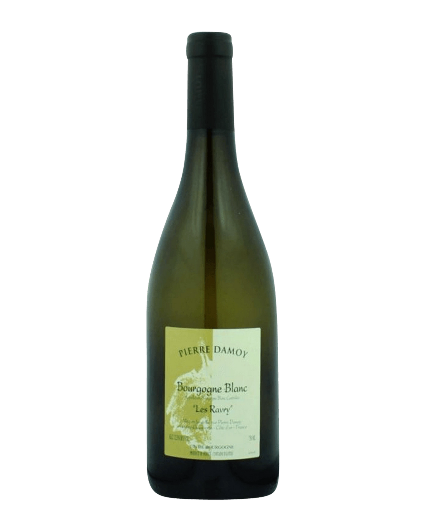 Pierre Damoy Bourgogne Blanc Les Ravry Chardonnay 2017 750mL