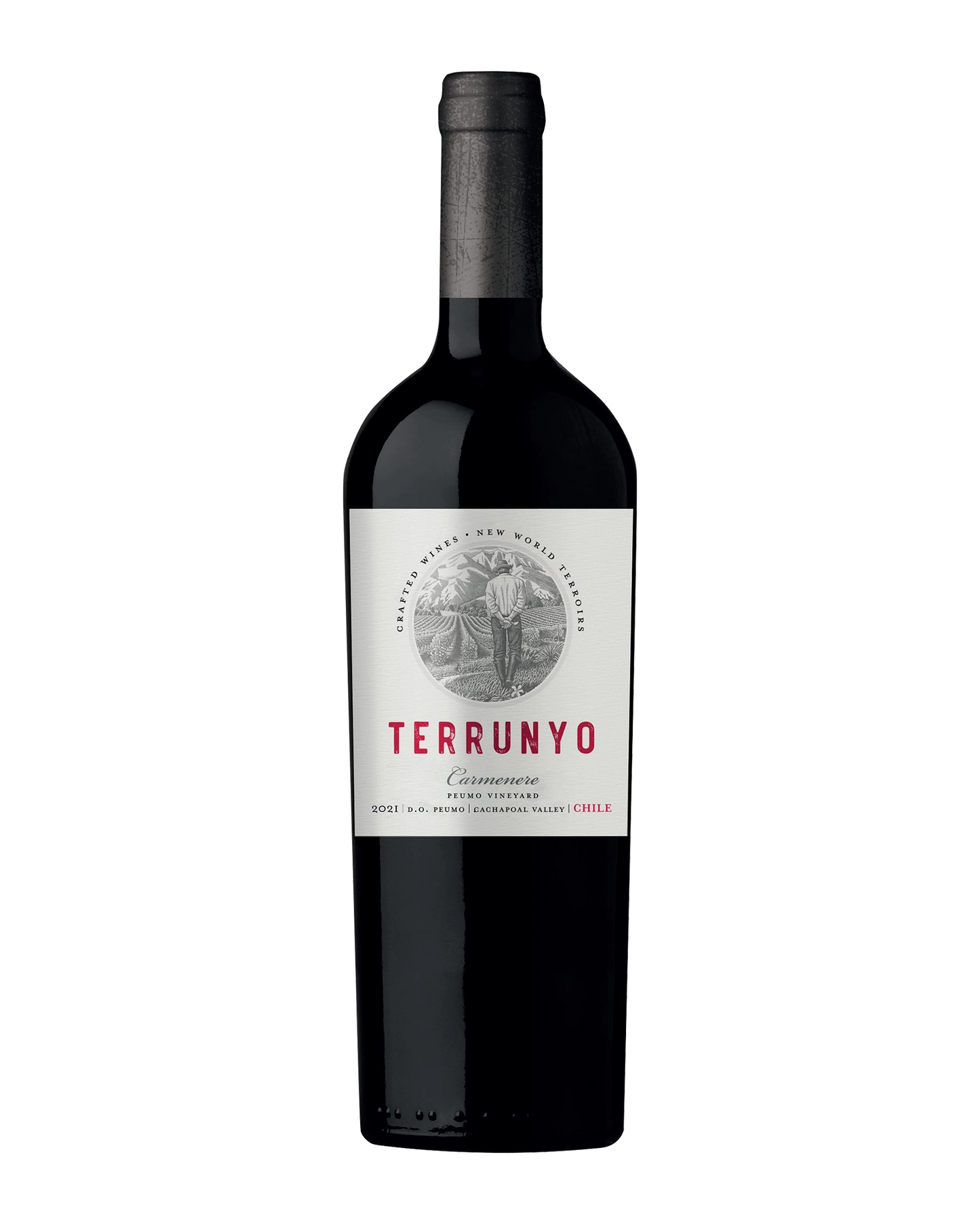 Terrunyo Carmenere D.O Peumo 750mL