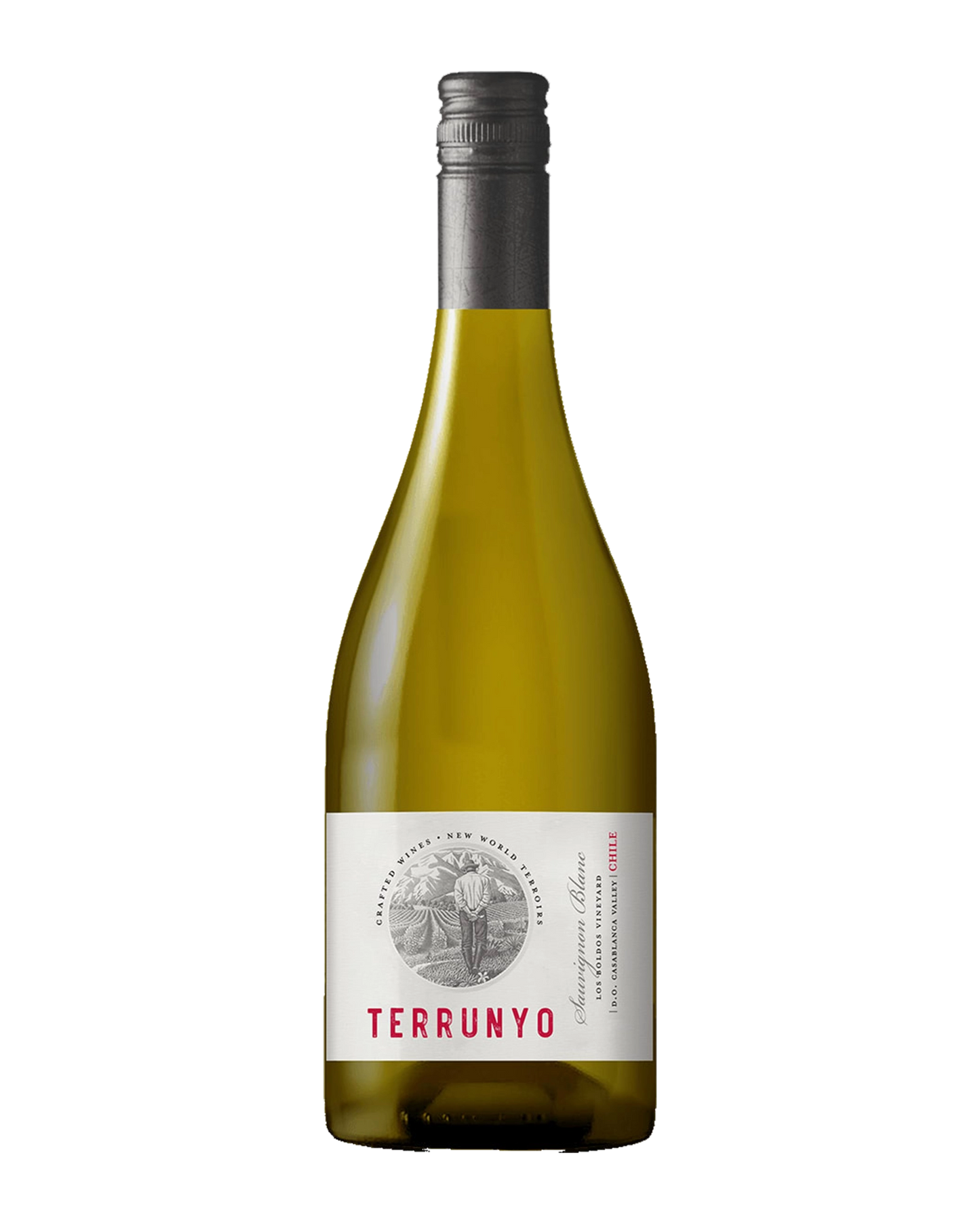 Terrunyo Sauvignon Blanc D.O Casablanca 750mL