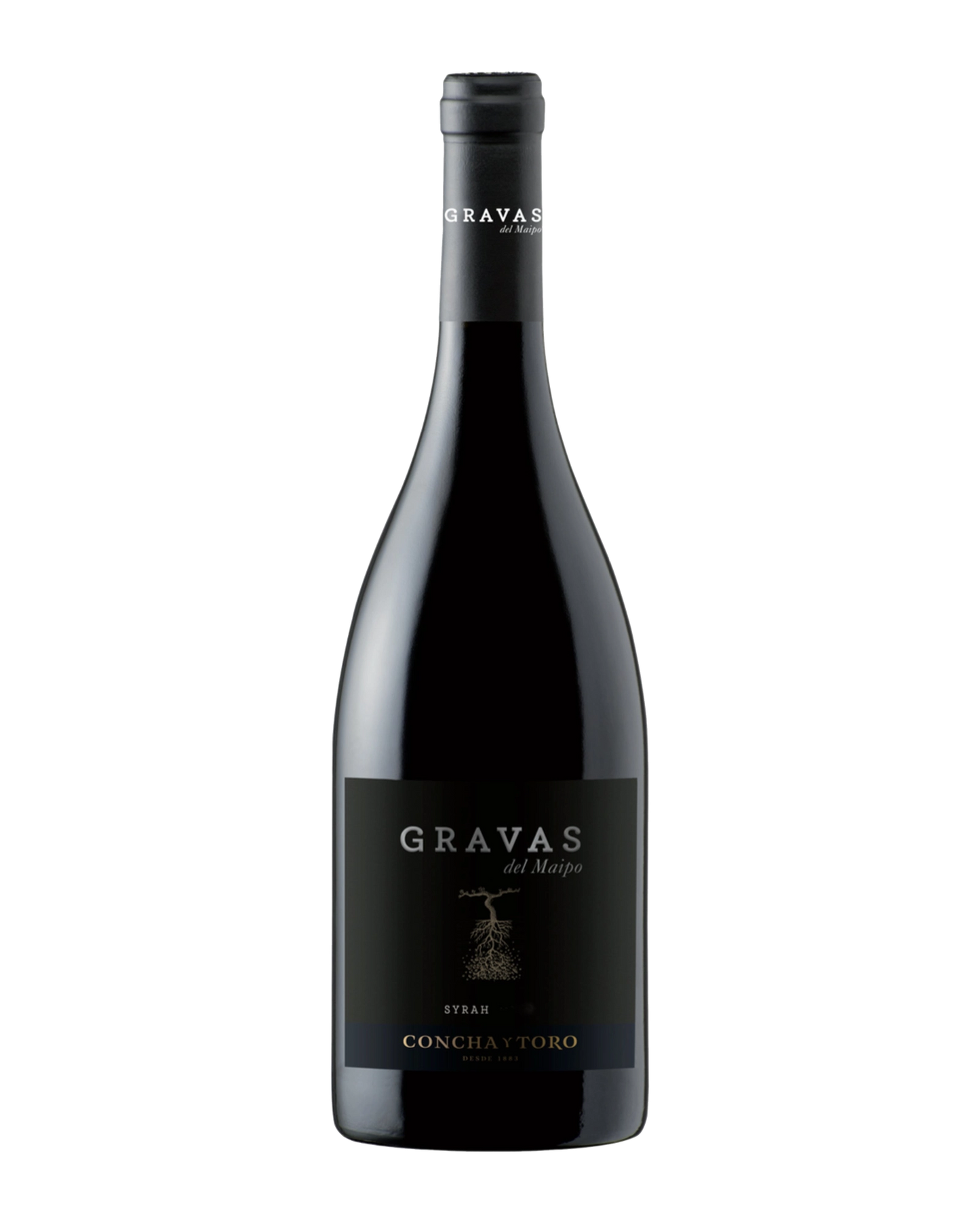 Gravas Del Maipo Syrah 2018 750mL