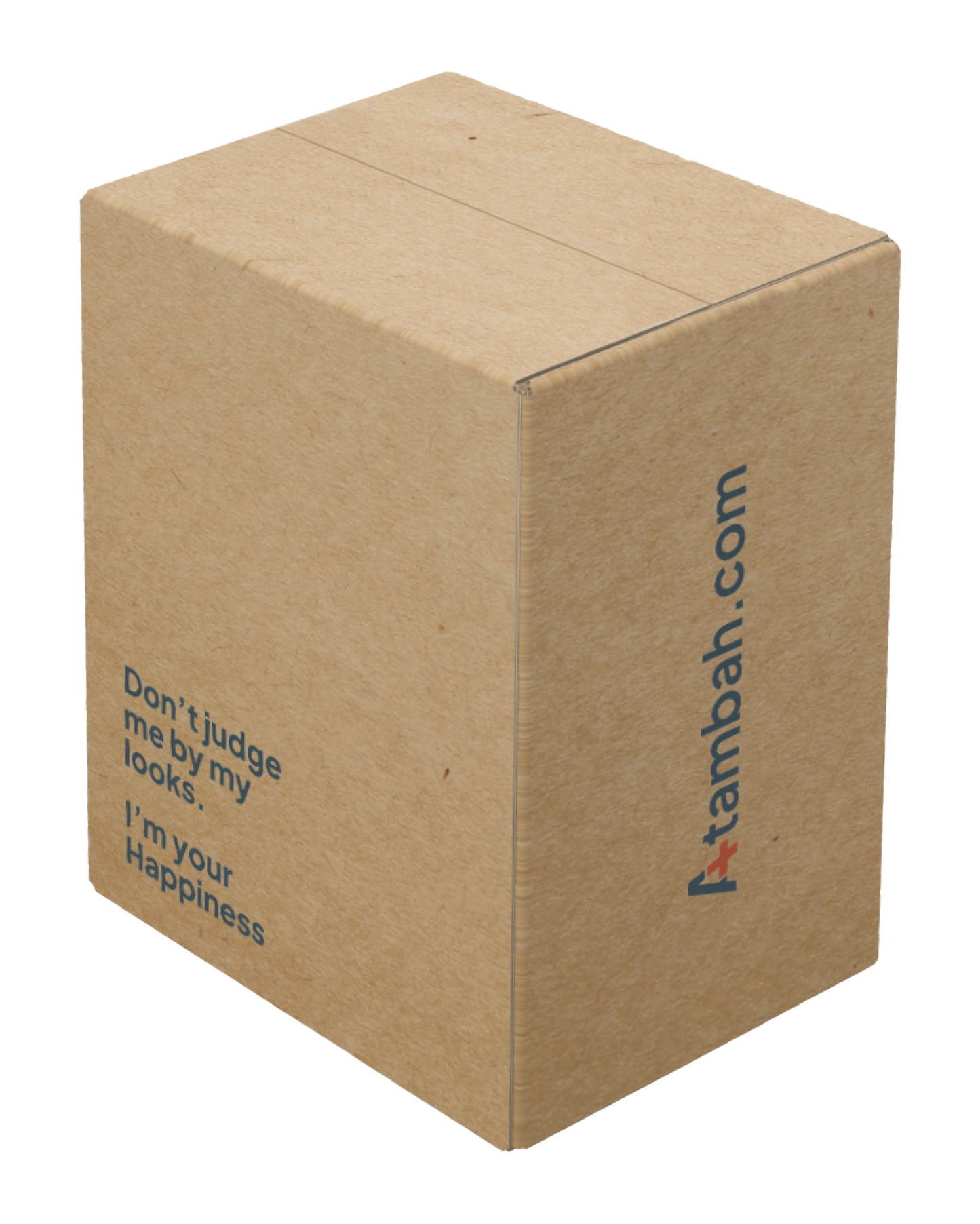 Atambah Carton Box