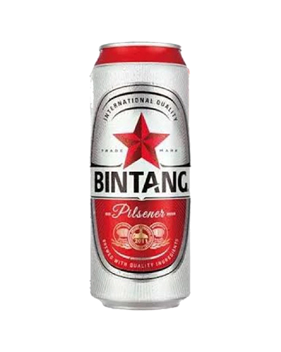Bintang Beer Can 490mL